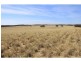 L1940 Ngarkat Highway, Pinnaroo SA 5304