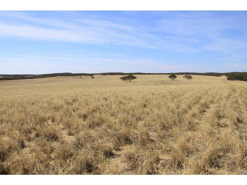 L1940 Ngarkat Highway, Pinnaroo SA 5304