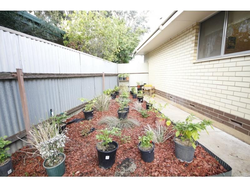 29 Quondong Avenue, Parafield Gardens SA 5107