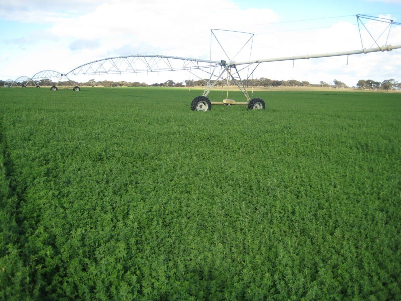 L242b Stevens Road, Currency Creek SA 5214