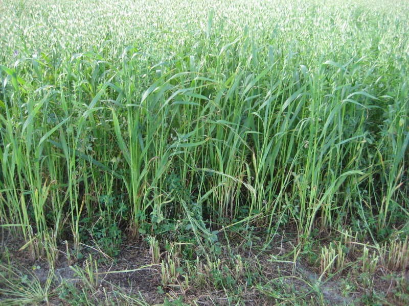 L242b Stevens Road, Currency Creek SA 5214