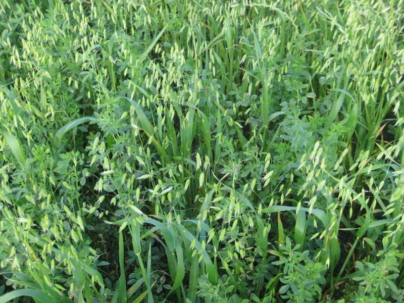 L242b Stevens Road, Currency Creek SA 5214