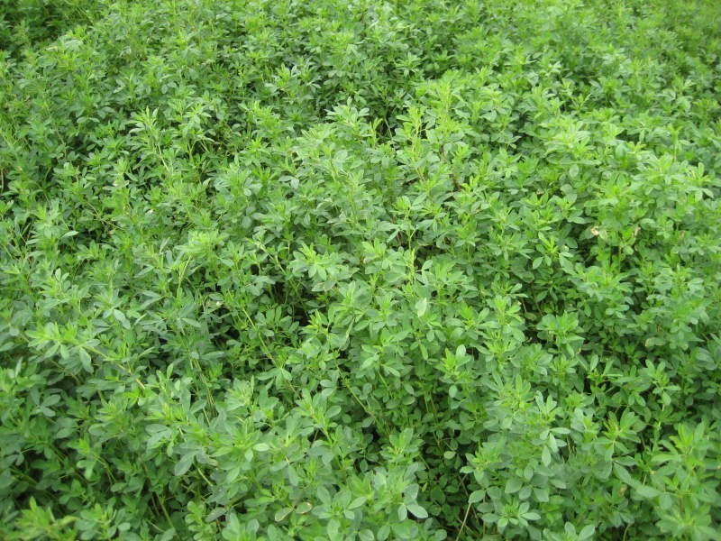 L242b Stevens Road, Currency Creek SA 5214