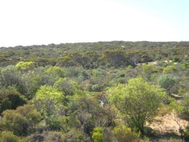 1 Talia Caves Road, Talia SA 5670