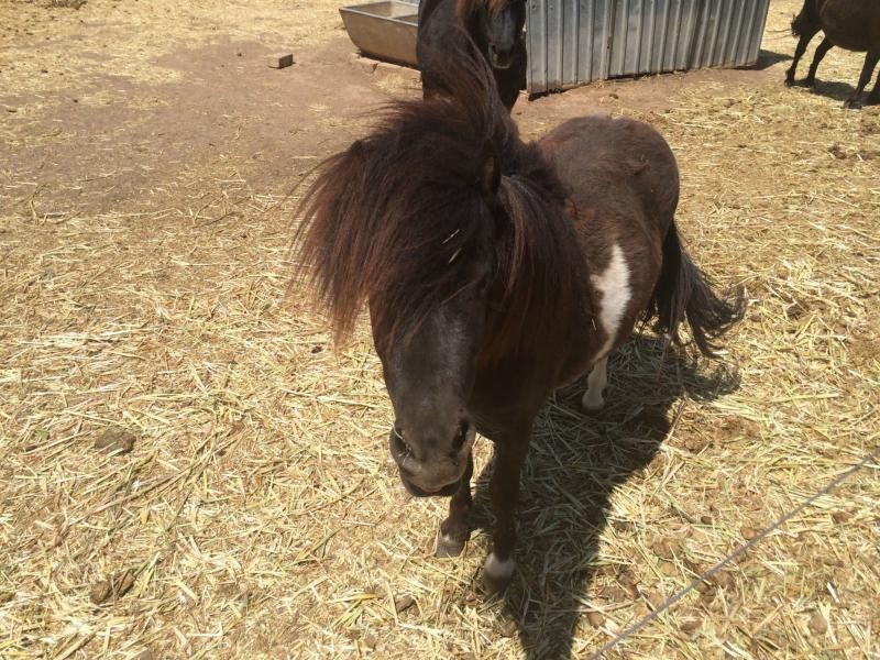 30 Melvin Terrace, Pinery SA 5460