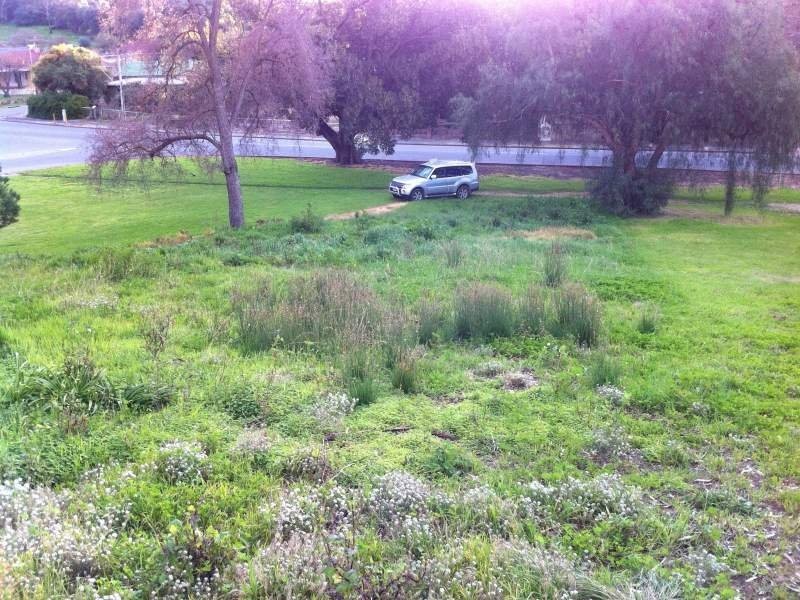 9 Washington Street, Angaston SA 5353