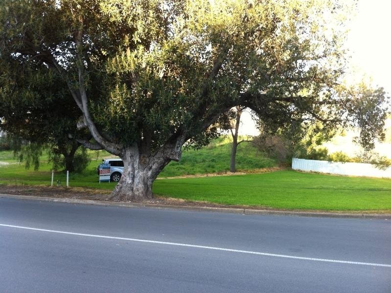 9 Washington Street, Angaston SA 5353