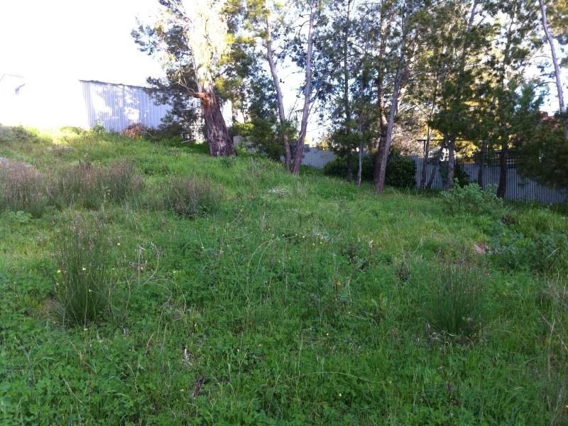 9 Washington Street, Angaston SA 5353