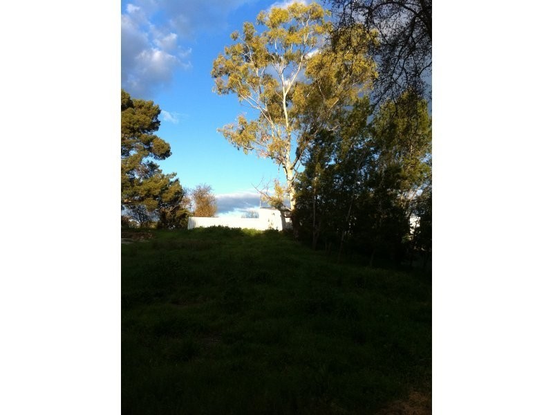 9 Washington Street, Angaston SA 5353