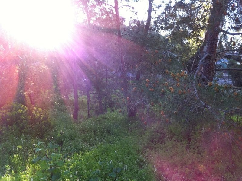 9 Washington Street, Angaston SA 5353