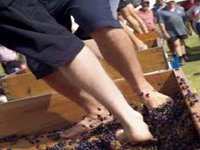 9 Washington Street, Angaston SA 5353