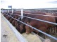 856, 1033, 1156 Parrakie North Road, Parrakie SA 5301