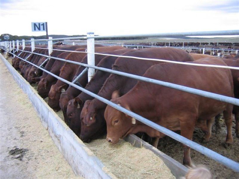 856, 1033, 1156 Parrakie North Road, Parrakie SA 5301
