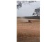 856, 1033, 1156 Parrakie North Road, Parrakie SA 5301