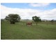 108 Jensen Road, Lower Wonga QLD 4570