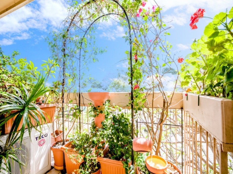 21/36 Perry Street, Marrickville NSW 2204