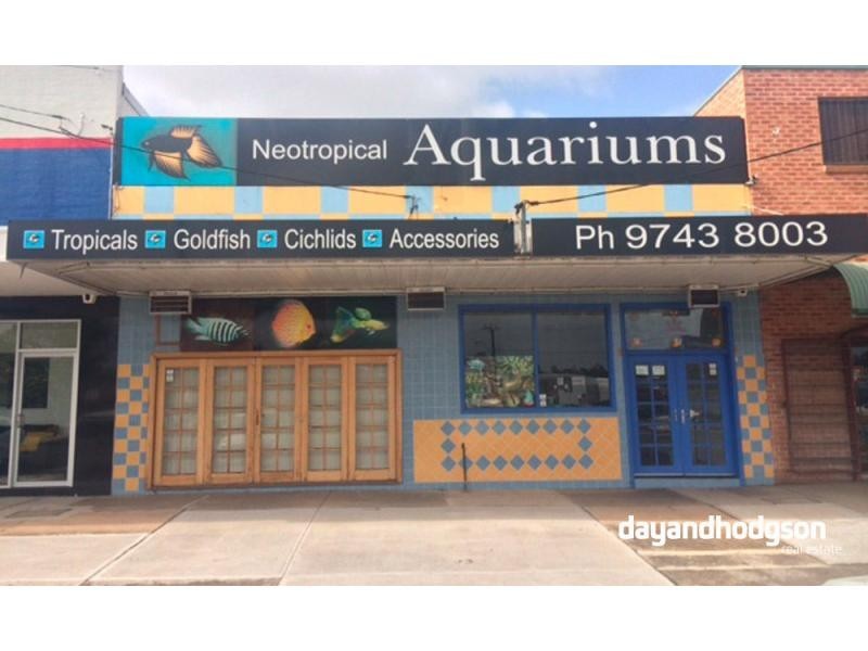 77 MIddleton Road, Chester Hill NSW 2162