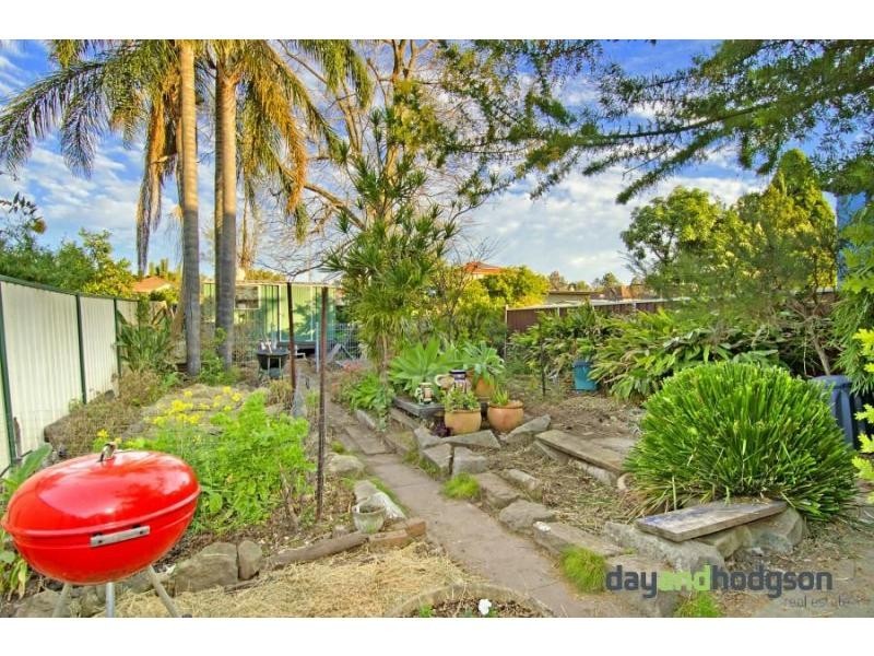 16 Frederick Street, Campsie NSW 2194