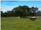 495 Tyabb-Tooradin Road, Pearcedale VIC 3912