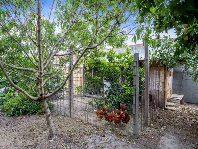 13 Belvedere Road, Seaford VIC 3198