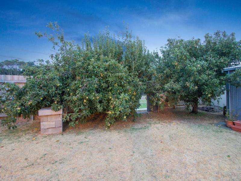 96 Ella Grove, Chelsea VIC 3196