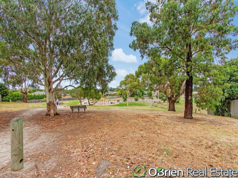 16 Beckenham Place, Langwarrin VIC 3910
