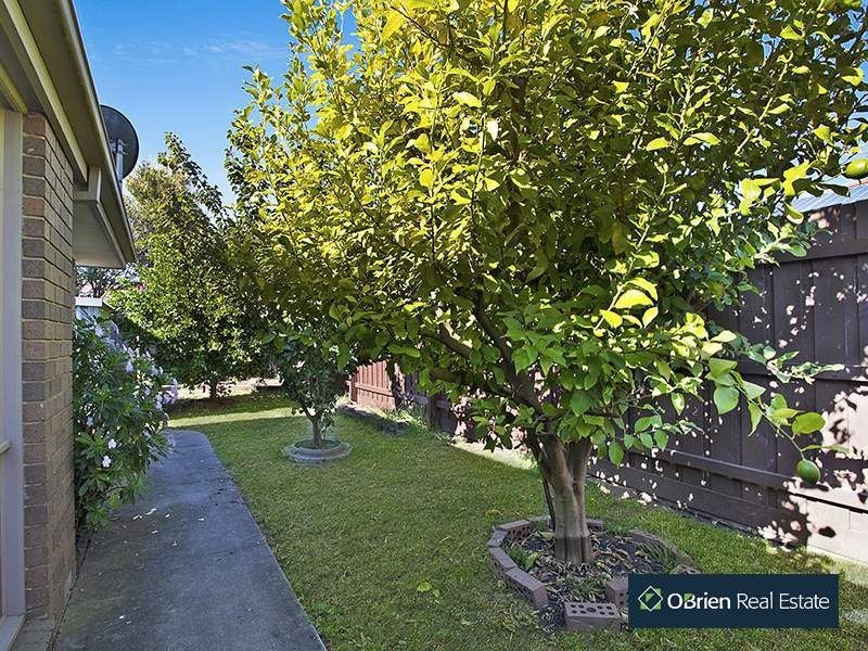 21 Talab Court, Chelsea Heights VIC 3196