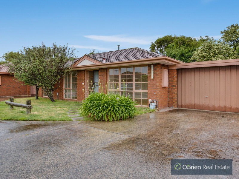 9 Robyn Court, Carrum VIC 3197