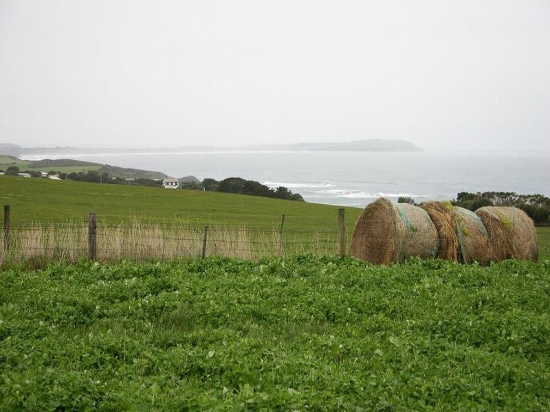 225 Gap Road, Ventnor VIC 3922