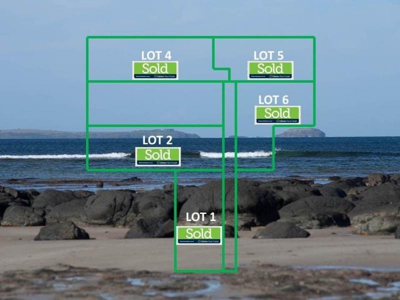 13 Cliff Road, Shoreham VIC 3916