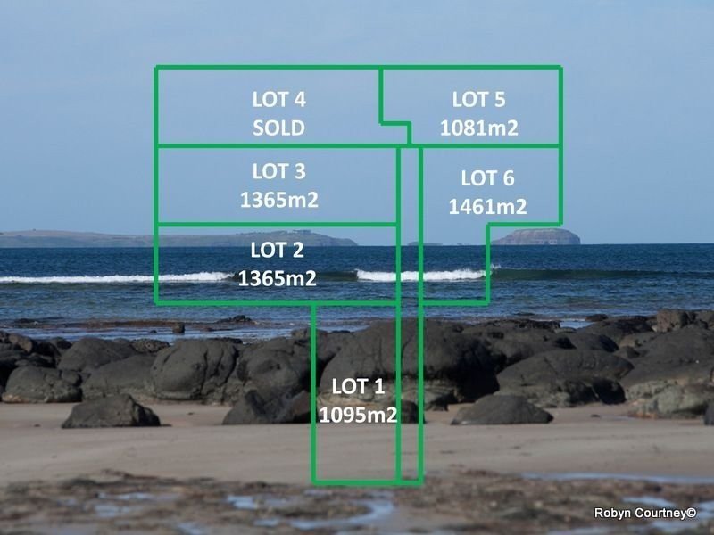 1/13 Cliff Road, Shoreham VIC 3916