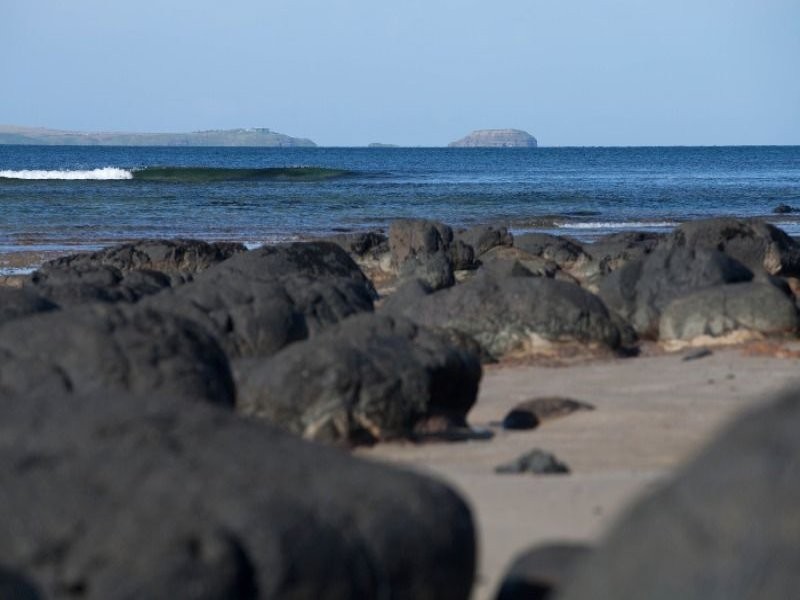 1/13 Cliff Road, Shoreham VIC 3916