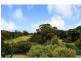 89A Park Road, Cheltenham VIC 3192