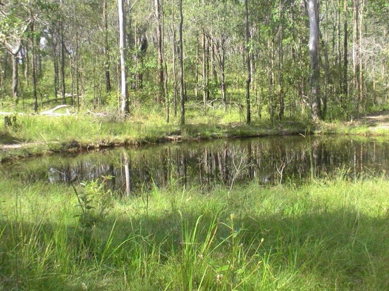 2305 Musket Flat Road, Doongul QLD 4620