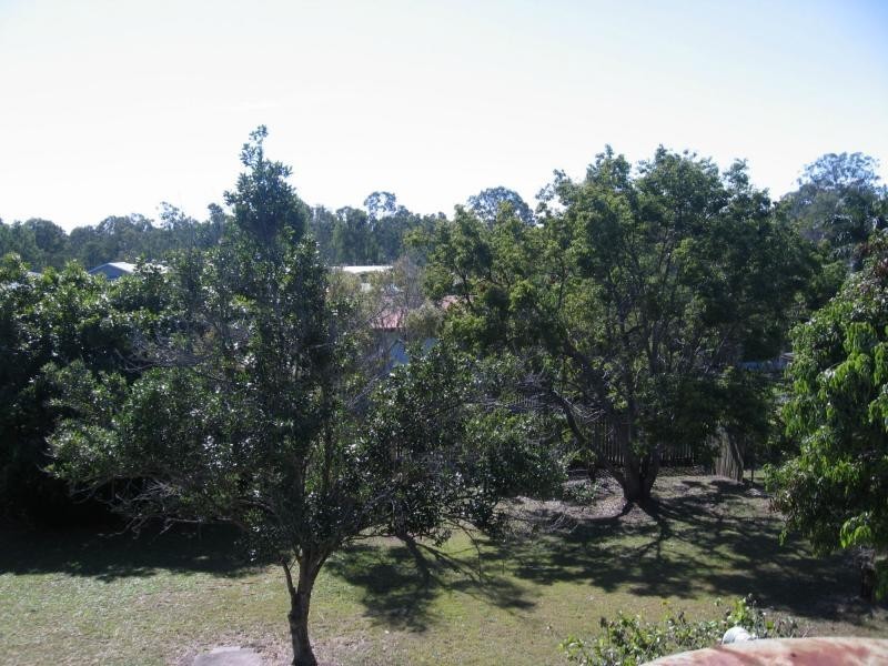 45 Woongool Road, Tinana QLD 4650