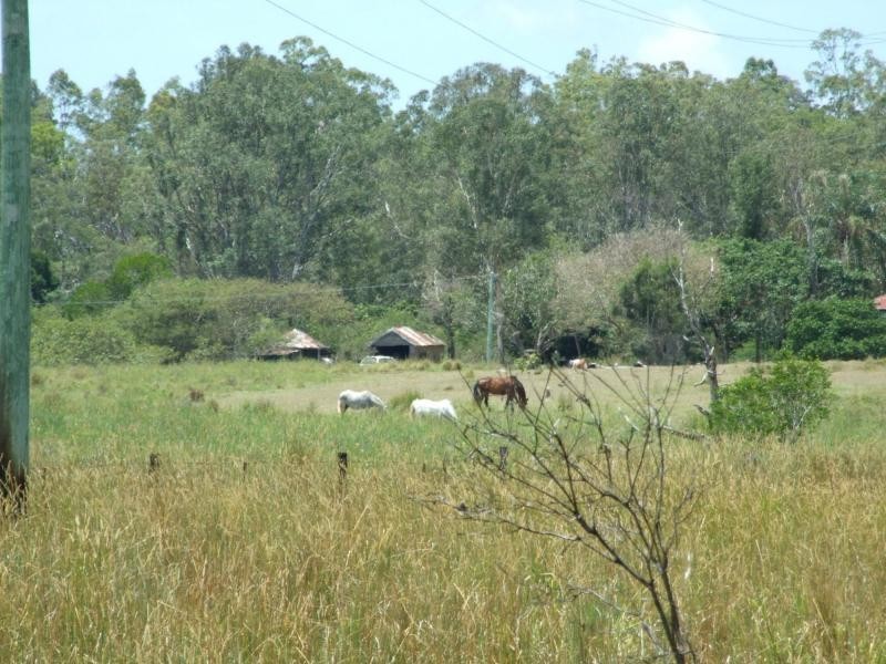 318 Eatonvale Road, Tinana QLD 4650