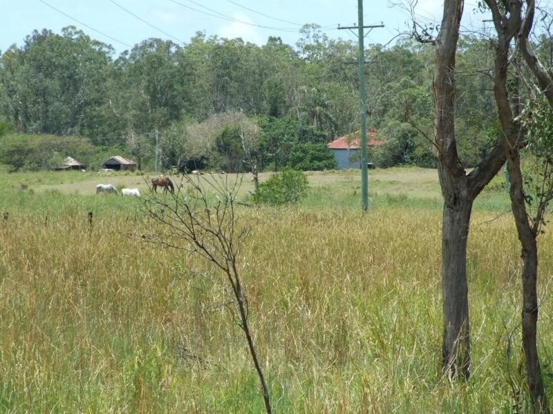 318 Eatonvale Road, Tinana QLD 4650