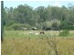 318 Eatonvale Road, Tinana QLD 4650
