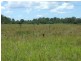 318 Eatonvale Road, Tinana QLD 4650