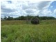 318 Eatonvale Road, Tinana QLD 4650