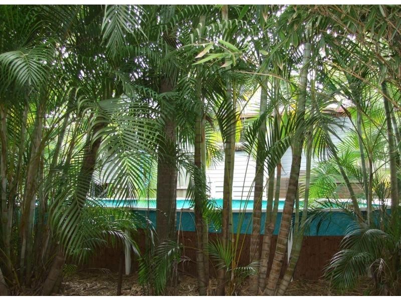 211 Fort Street, Maryborough QLD 4650
