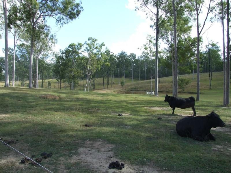 4274 Maryborough Biggenden Rd Road, Aramara QLD 4620