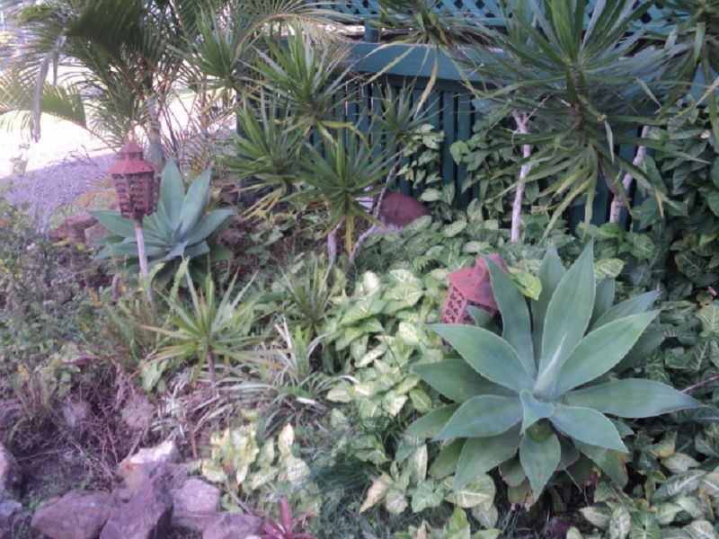 49 Yaralla Street, Maryborough QLD 4650