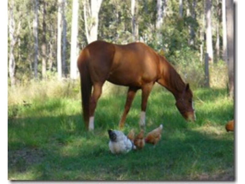 165 Van Hensbroek Road, Bauple QLD 4650