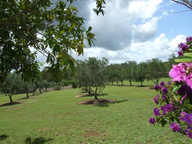 43 Choota Drive, Antigua QLD 4650