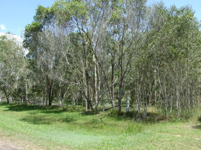 L3 Dundathu Road, Dundathu QLD 4650