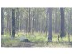 L76 Glenbar Road, Woocoo QLD 4620