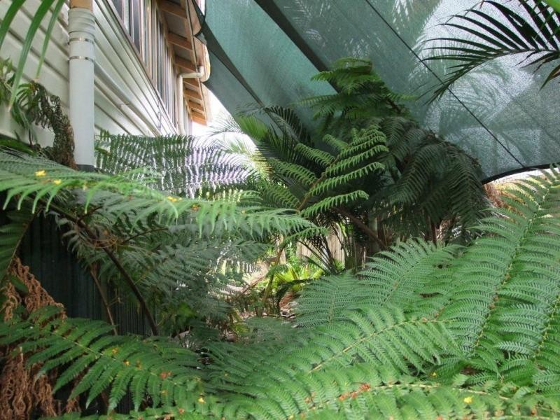 120 Churchill Street, Maryborough QLD 4650