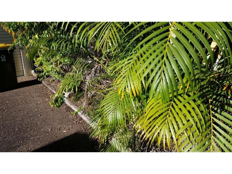 121 Sussex Street, Maryborough QLD 4650