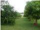 Bauple QLD 4650